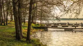 Końcówka jesieni w Pięknym Brzegu, nad jeziorem Święcajty, listopad 2025 r. - zdjęcie 23