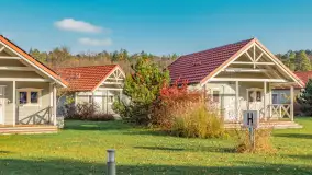 Końcówka jesieni w Pięknym Brzegu, nad jeziorem Święcajty, listopad 2025 r. - zdjęcie 35