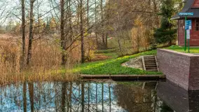 Końcówka jesieni przy śluzie Przerwanki, listopad 2025 r. - zdjęcie 6