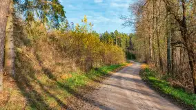 Końcówka jesieni przy śluzie Przerwanki, listopad 2025 r. - zdjęcie 23