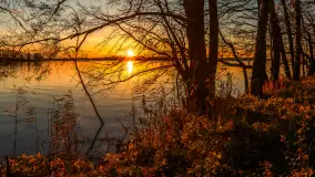 Zachód słońca nad jeziorem Niegocin, listopad 2025 r. - zdjęcie 4