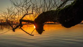 Zachód słońca nad jeziorem Niegocin, listopad 2025 r. - zdjęcie 26