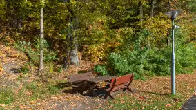 Jesienne kadry w porcie Pod Dębem, nad jeziorem Nidzkim, październik 2025 r. - zdjęcie 46