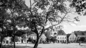 Wkrótce ożywimy AI pocztówki z Olecka / Marggrabowa, wracamy do przeszłości - zdjęcie 8