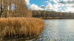 Jezioro Krzywa Kuta między jesienią, a zimą, listopad 2025 r. - zdjęcie 11