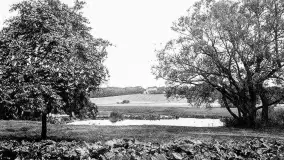 Wkrótce ożywimy AI pocztówki ze Sztynortu / Steinort, wracamy do przeszłości - zdjęcie 10