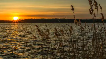 Zimowy zachód słońca nad jeziorem Kisajno, styczeń 2025 r.