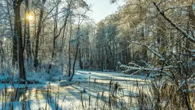 Na jaką zimę czekamy? zobaczcie zdjęcia z kilku lat - zdjęcie 14