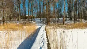 Słoneczna zima w Łabędzim Ostrowiu, luty 2025 r. - zdjęcie 16