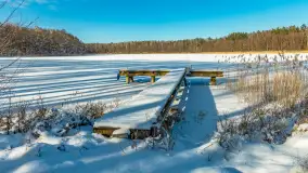 Słoneczna zima w Łabędzim Ostrowiu, luty 2025 r. - zdjęcie 11