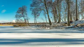 Słoneczna zima w Łabędzim Ostrowiu, luty 2025 r. - zdjęcie 17