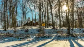 Słoneczna zima w Łabędzim Ostrowiu, luty 2025 r. - zdjęcie 6