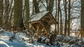 Słoneczna zima w Łabędzim Ostrowiu, luty 2025 r. - zdjęcie 35