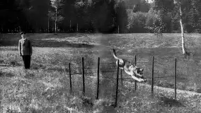 Wilczy Szaniec w latach 1940-1944 na zdjęciach w wysokiej rozdzielczości - zdjęcie 24