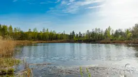 Niewielkie jezioro niedaleko śluzy Długopole, kwiecień 2025 r. - zdjęcie 26