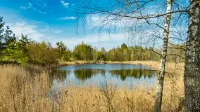 Niewielkie jezioro niedaleko śluzy Długopole, kwiecień 2025 r. - zdjęcie 1