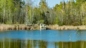 Niewielkie jezioro niedaleko śluzy Długopole, kwiecień 2025 r. - zdjęcie 15