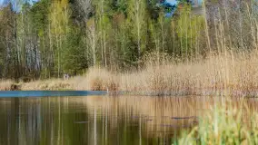 Niewielkie jezioro niedaleko śluzy Długopole, kwiecień 2025 r. - zdjęcie 3