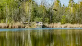 Niewielkie jezioro niedaleko śluzy Długopole, kwiecień 2025 r. - zdjęcie 5