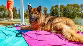 Zielone szkoły na Mazurach, promocja regionu wśród najmłodszych - zdjęcie 6