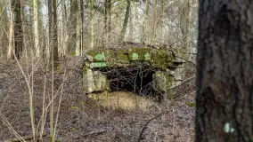 Schrony Kruklaneckiej pozycji umocnieniowej - zdjęcie 53