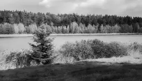 Wkrótce ożywimy AI pocztówki i zdjęcia z Wydmin / Widminnen, wracamy do przeszłości - zdjęcie 34