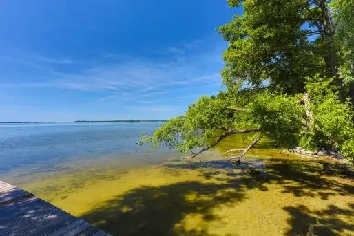 Zdjęcia: Nowy Harsz – prawie nowe i mega nietypowe miejsce - zdjęcie 5