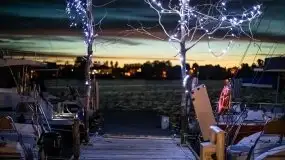 Zdjęcia: Michał Lampart wybił się na tle... Tle dla Mew - zdjęcie 6