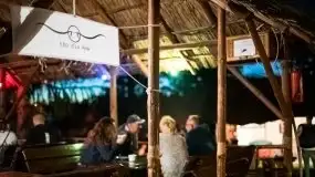 Zdjęcia: Michał Lampart wybił się na tle... Tle dla Mew - zdjęcie 17