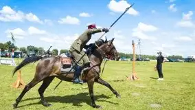Zdjęcia: Zimnokrwiste rozgrzały serca publiczności - zdjęcie 30