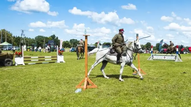 Zdjęcia: Zimnokrwiste rozgrzały serca publiczności - zdjęcie 4