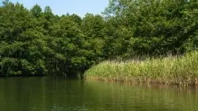 Zdjęcia: Malowniczy szlak wodny z Węgorzewa na Mamry - zdjęcie 26
