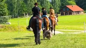 Zdjęcia: Hulańce i swojskie jadło w doborowym towarzystwie - zdjęcie 37