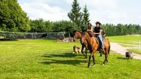 Zdjęcia: Hulańce i swojskie jadło w doborowym towarzystwie - zdjęcie 35