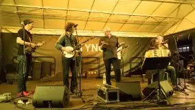 Zdjęcia: Szanty, irlandzki folk i bluegrass na sztynorckiej scenie  - zdjęcie 10