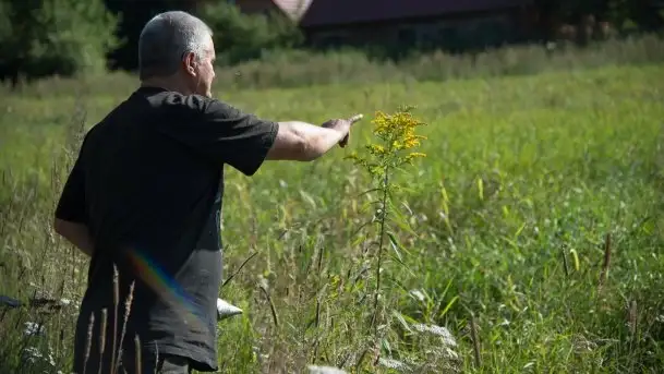 Zdjęcia: Odwiedzamy leśną pasiekę, czyli Mazury na słodko - zdjęcie 1