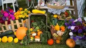 Zdjęcia: Mazurscy rolnicy dziękują za plony  - zdjęcie 43