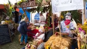 Zdjęcia: Mazurscy rolnicy dziękują za plony  - zdjęcie 26