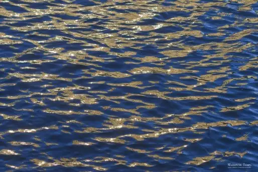 Zdjęcia: Miłośnicy Mazur - Maison du Temps - "Mazury na piechotę" - zdjęcie 7