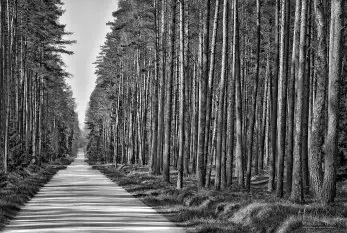 Zdjęcia: Miłośnicy Mazur - Maison du Temps - "Mazury na piechotę"