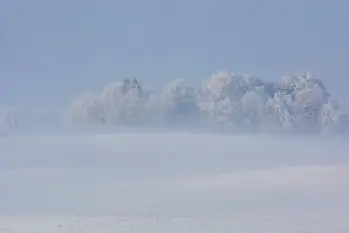 Z zamiłowania do przyrody, w fotografii Mariusza Kulisia