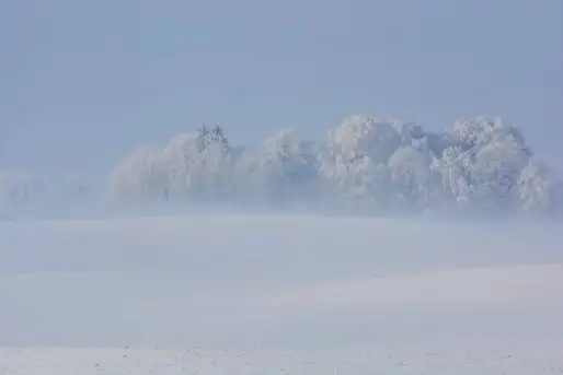 Z zamiłowania do przyrody, w fotografii Mariusza Kulisia - zdjęcie 2