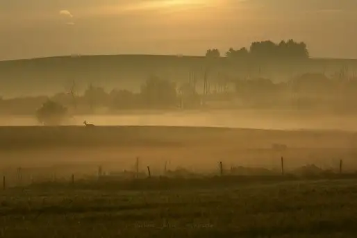 Z zamiłowania do przyrody, w fotografii Mariusza Kulisia - zdjęcie 3