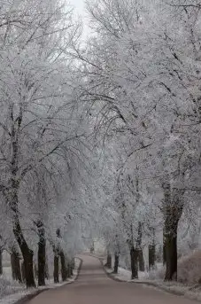 Z zamiłowania do przyrody, w fotografii Mariusza Kulisia - zdjęcie 24