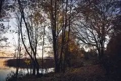 Z zamiłowania do przyrody, w fotografii Mariusza Kulisia - zdjęcie 25