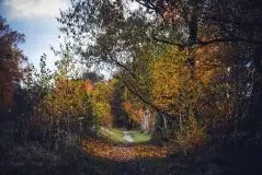 Z zamiłowania do przyrody, w fotografii Mariusza Kulisia - zdjęcie 29