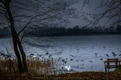 Zdjęcia: Miłośnicy Mazur - Pasja Fotografii w galerii Tomasza Ziółkowskiego - zdjęcie 15