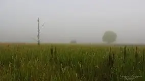 Zdjęcia: Miłośnicy Mazur - magia w zdjęciach Grzegorza - zdjęcie 27