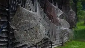 Zdjęcia: Miłośnicy Mazur - magia w zdjęciach Grzegorza - zdjęcie 25