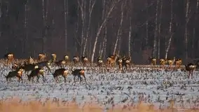 Zdjęcia: Miłośnicy Mazur - magia w zdjęciach Grzegorza - zdjęcie 24